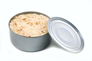 iStock_000005213305XSmall